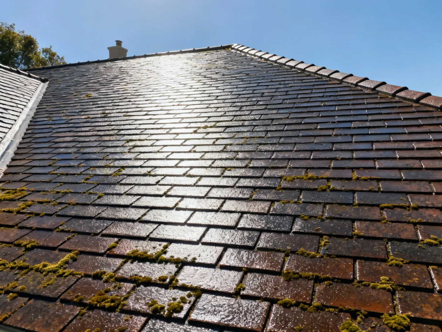 Demoussage professionnel - Apres